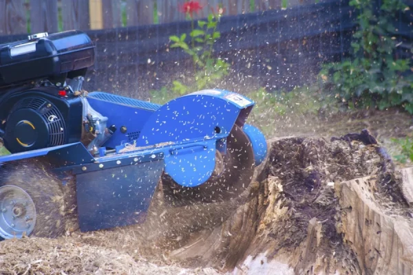 How To Grind A Stump Corpus Christi, TX How To Grind A Stump Corpus Christi, TX