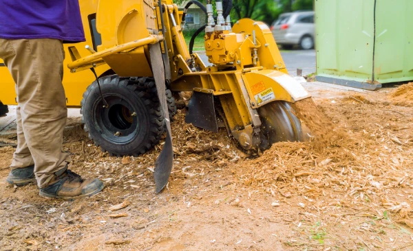 How To Grind A Stump in Corpus Christi, TX How To Grind A Stump in Corpus Christi, TX