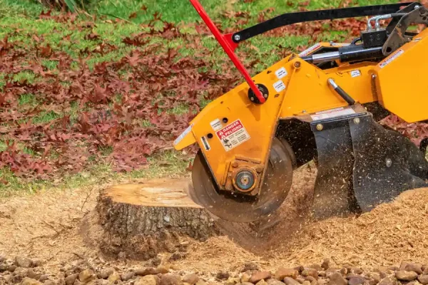 Reliable Stump Grinding in Corpus Christi, TX Reliable Stump Grinding in Corpus Christi, TX