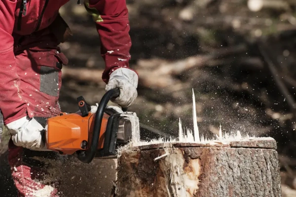 What Is Stump Grinding Corpus Christi, TX