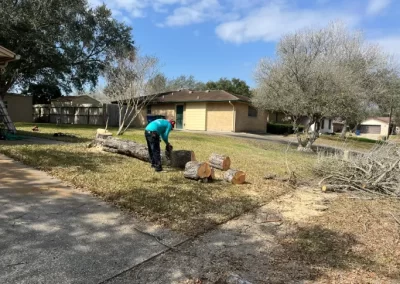 Dependable Local Tree Service