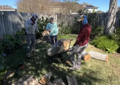 Tree Company
