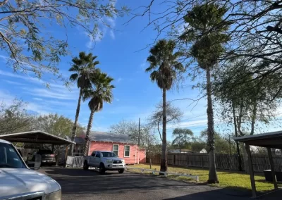 Tree Maintenance