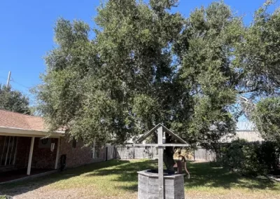 Superb Tree Maintenance